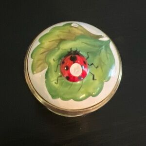 Nature-Inspired Leaf and Ladybug Trinket Box